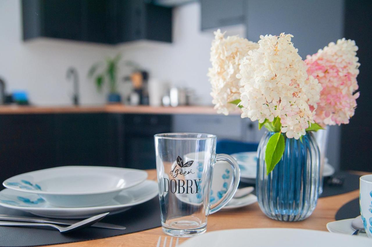 Apartament Niezapominajka Apartment Warmbrunn ภายนอก รูปภาพ